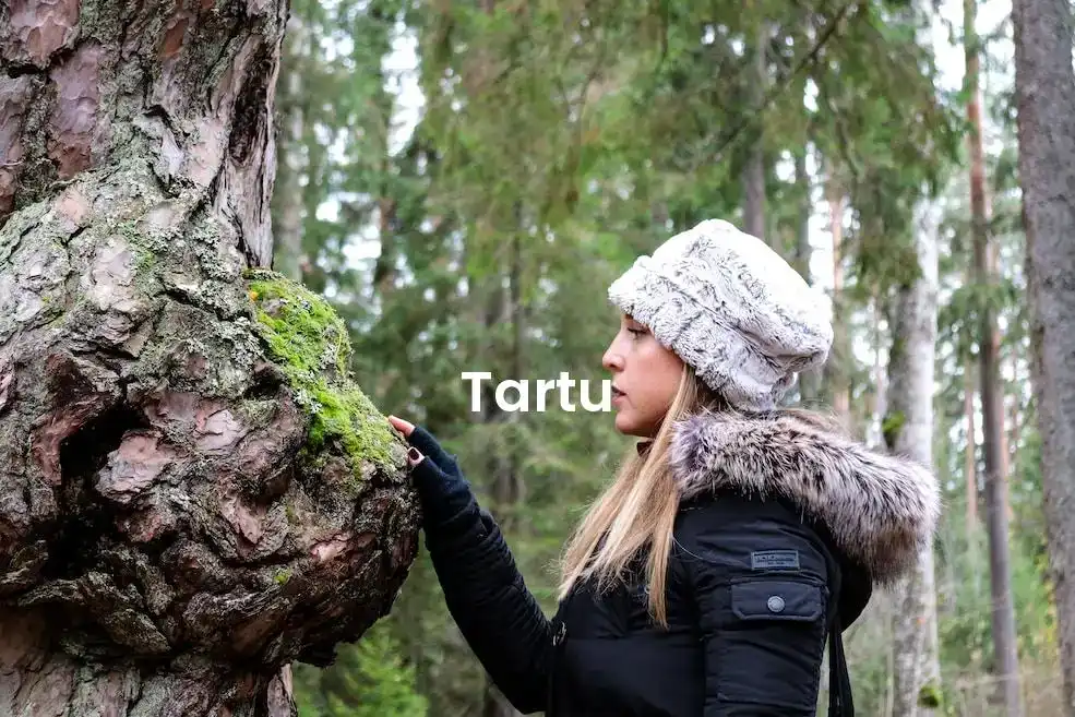 The best Airbnb in Tartu