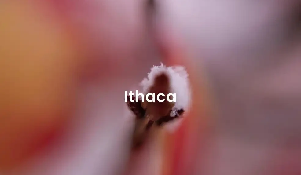 The best Airbnb in Ithaca