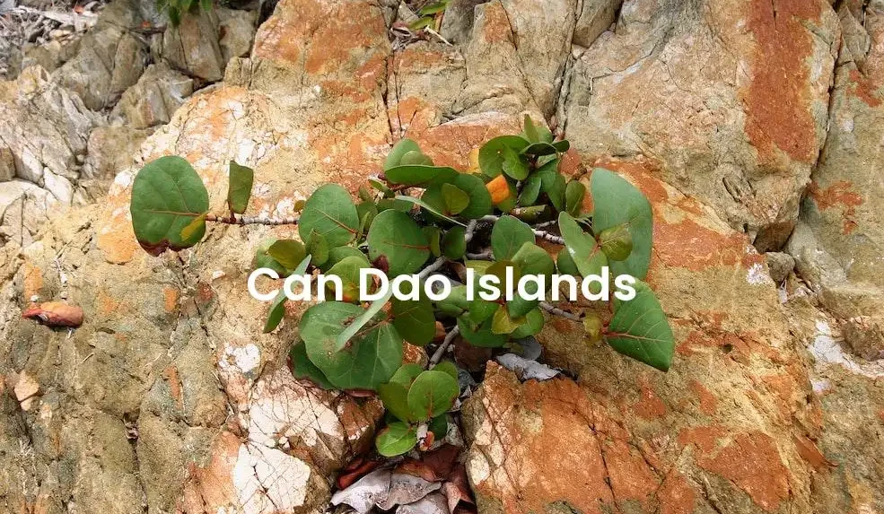 The best Airbnb in Can Dao Islands