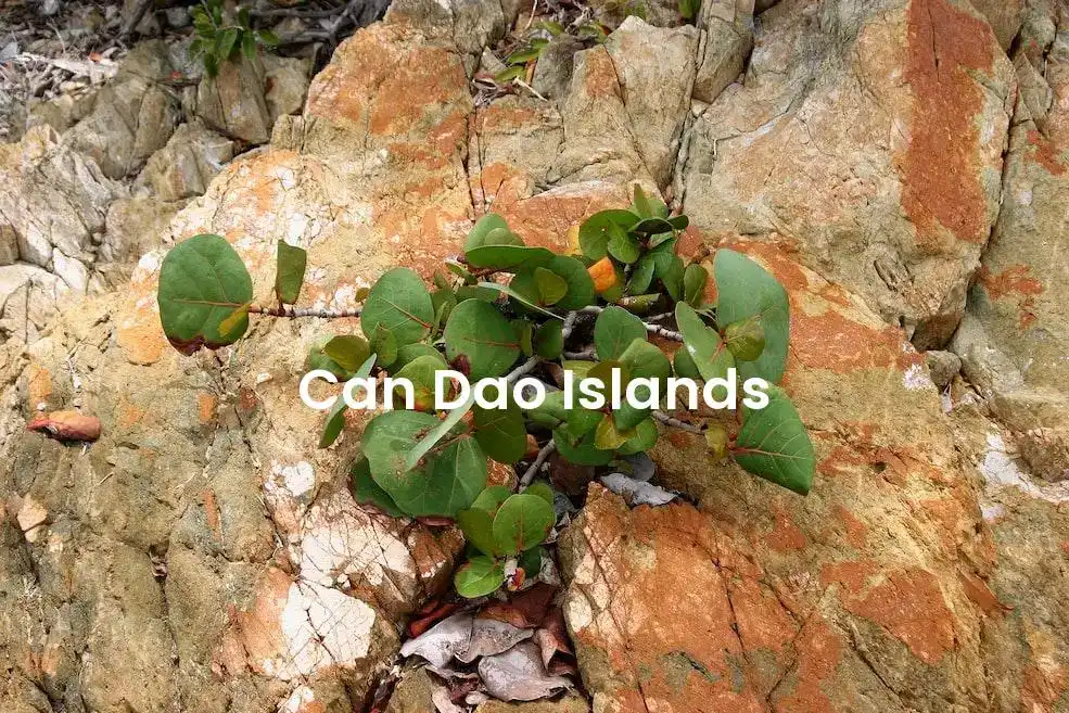 The best Airbnb in Can Dao Islands