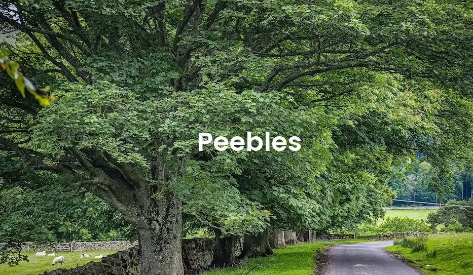 The best Airbnb in Peebles