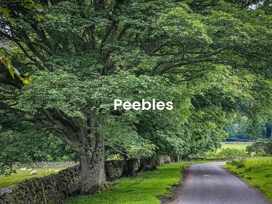 The best Airbnb in Peebles