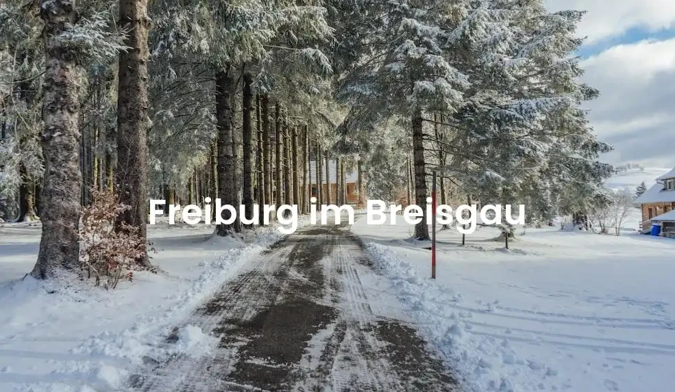 The best Airbnb in Freiburg Im Breisgau
