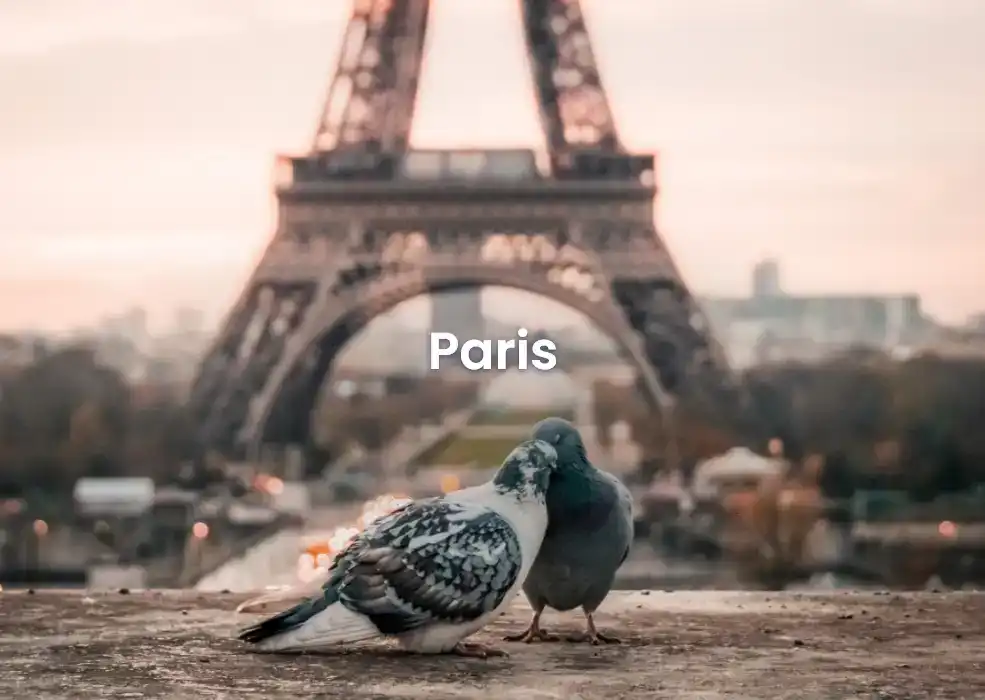 The best Airbnb in Paris