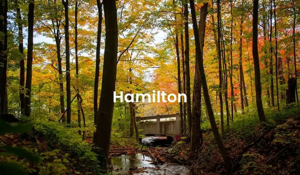 The best hotels in Hamilton