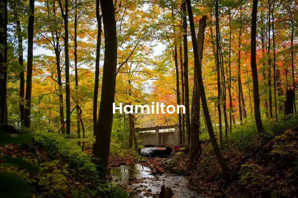 The best Airbnb in Hamilton