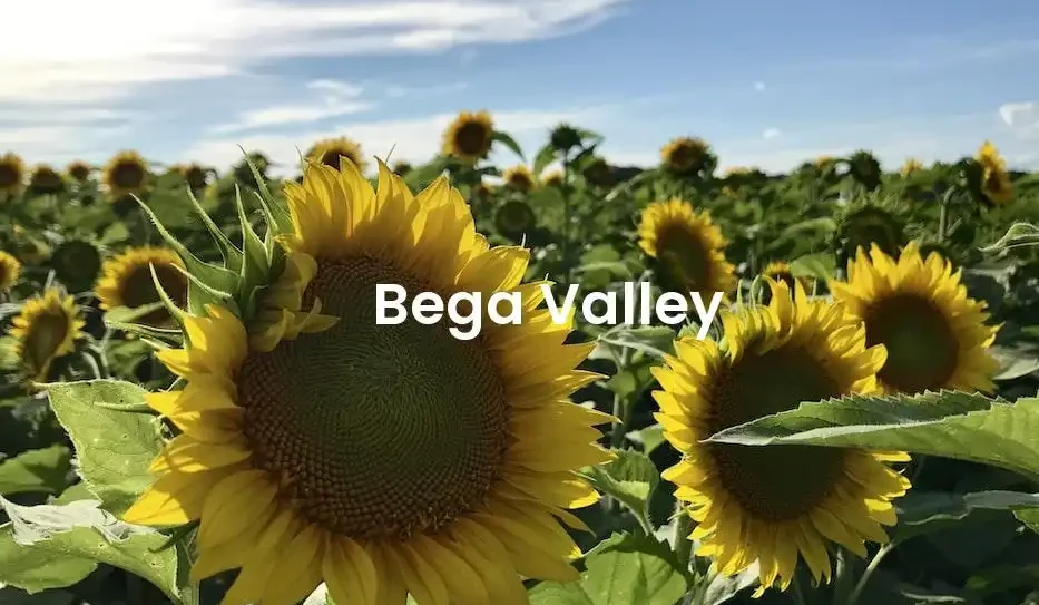 The best Airbnb in Bega Valley
