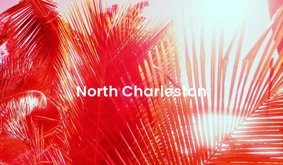 The best Airbnb in North Charleston