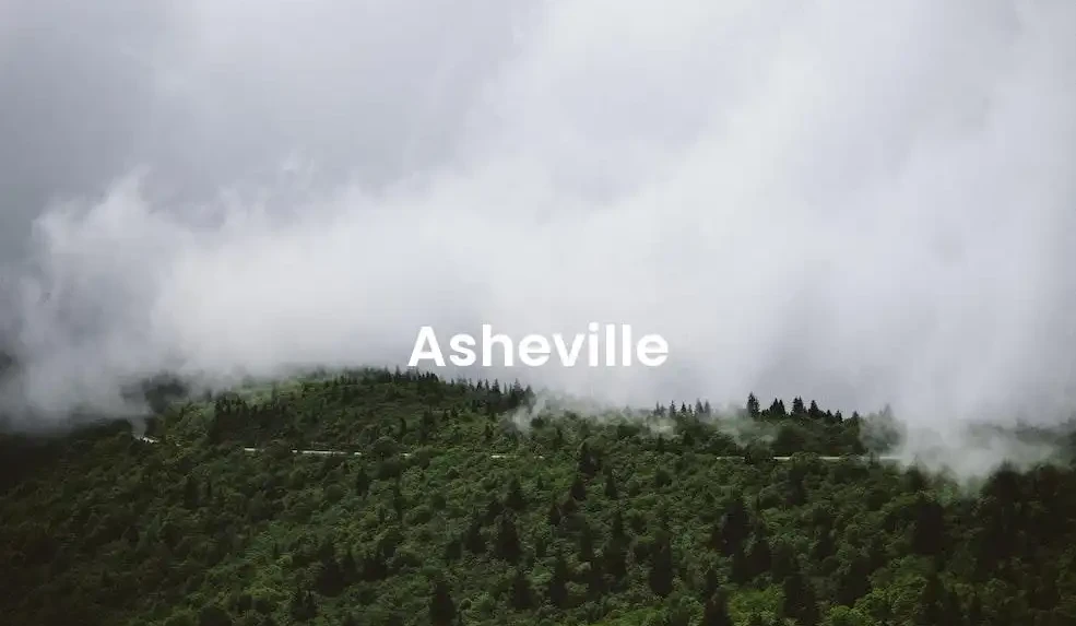 The best Airbnb in Asheville
