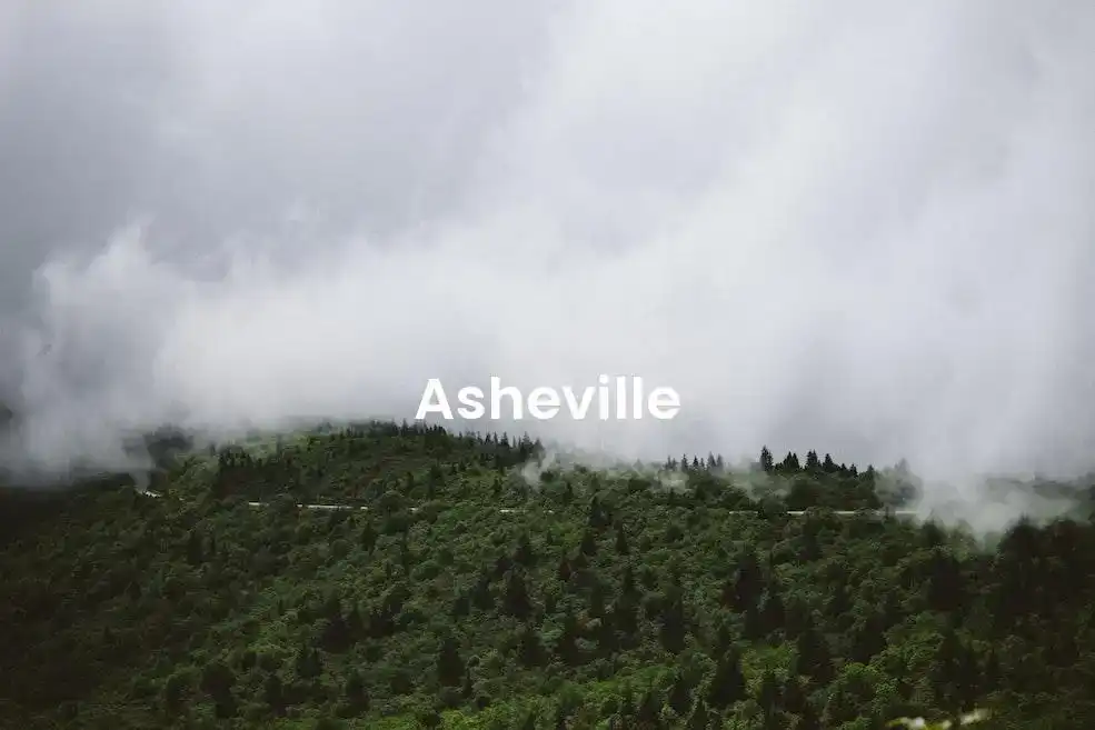 The best Airbnb in Asheville