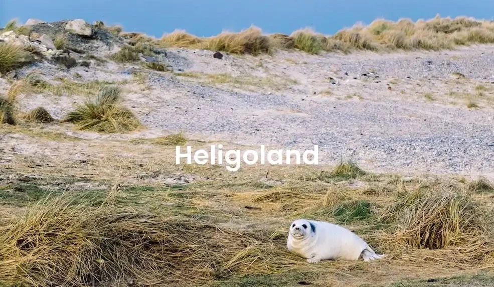 The best Airbnb in Heligoland