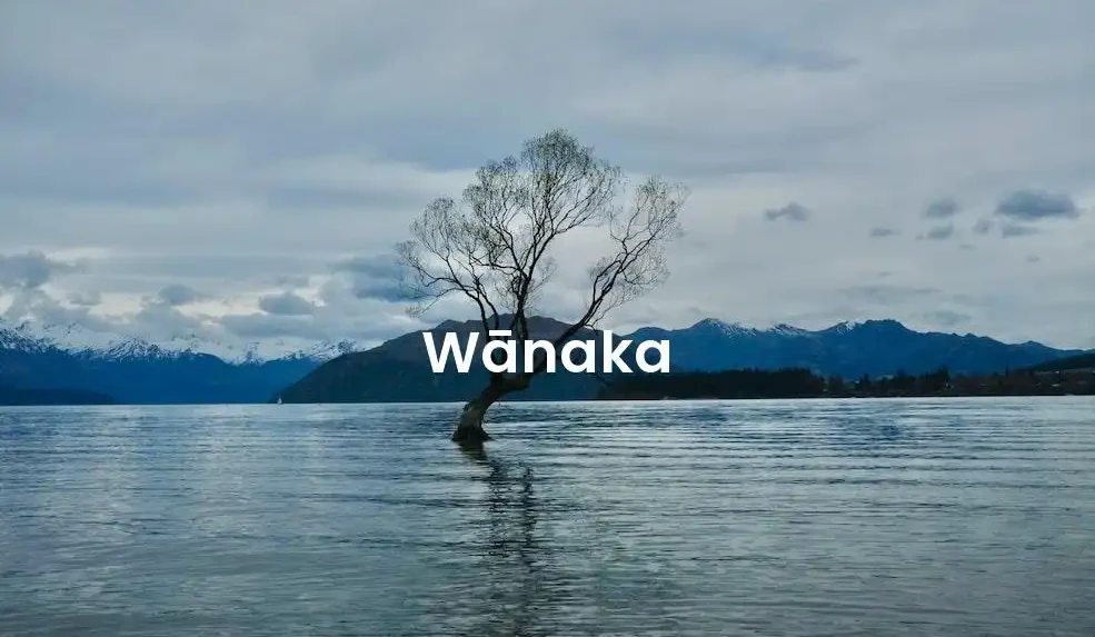The best VRBO in Wānaka