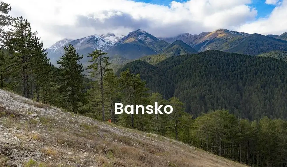 The best Airbnb in Bansko