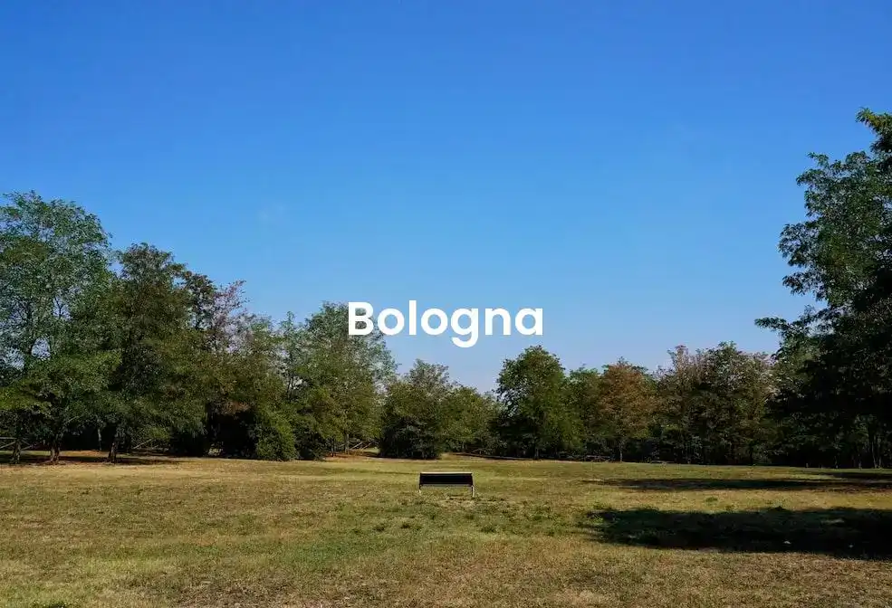 The best Airbnb in Bologna