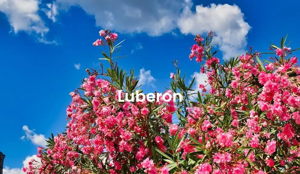 The best Airbnb in Luberon