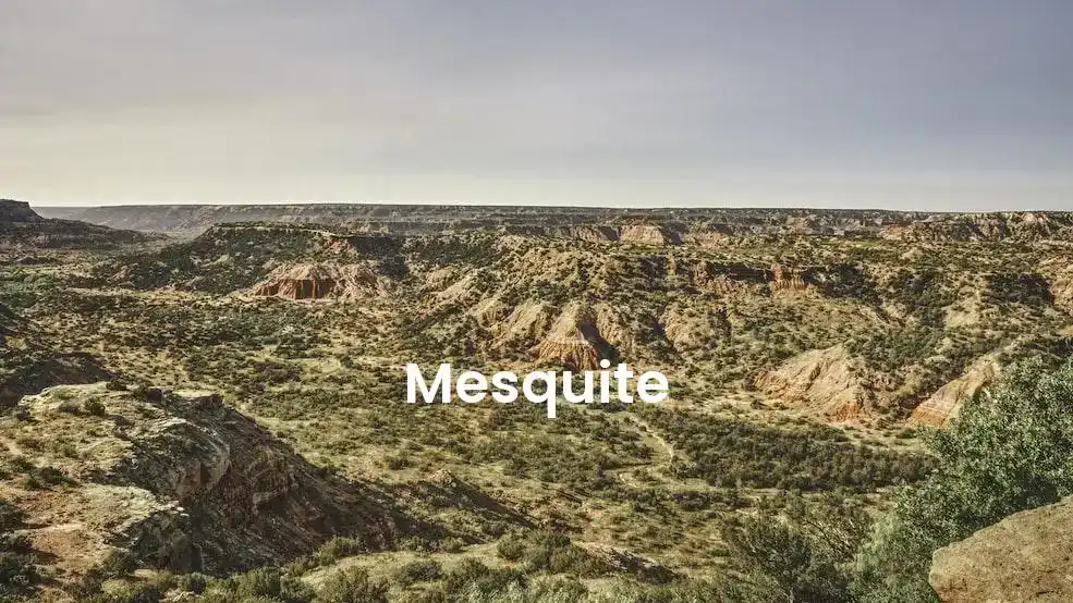 The best hotels in Mesquite