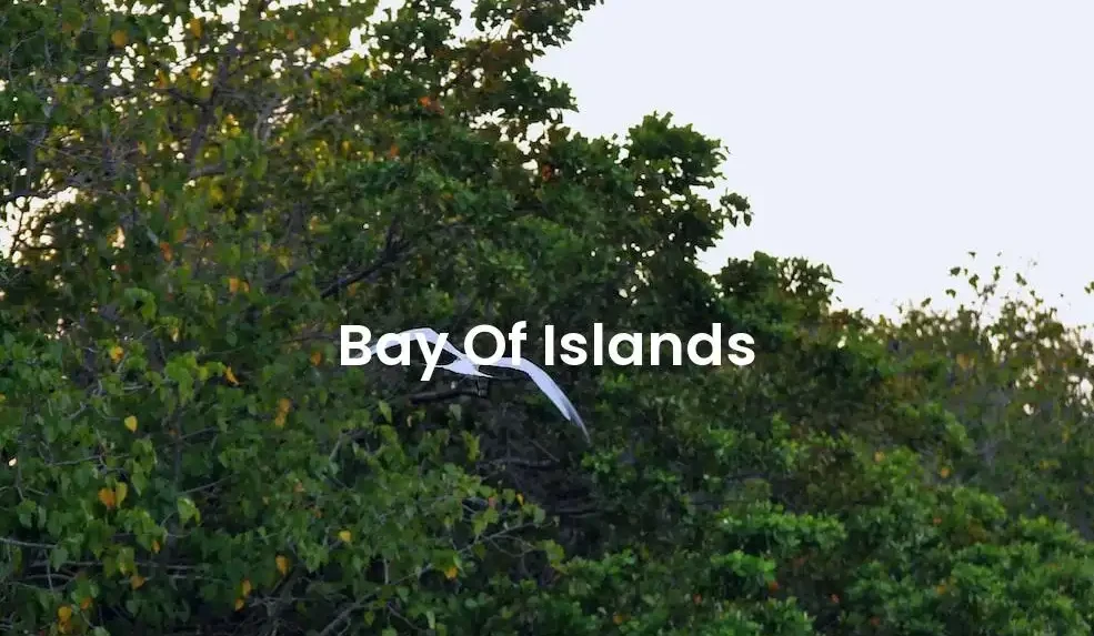 The best Airbnb in Bay Of Islands