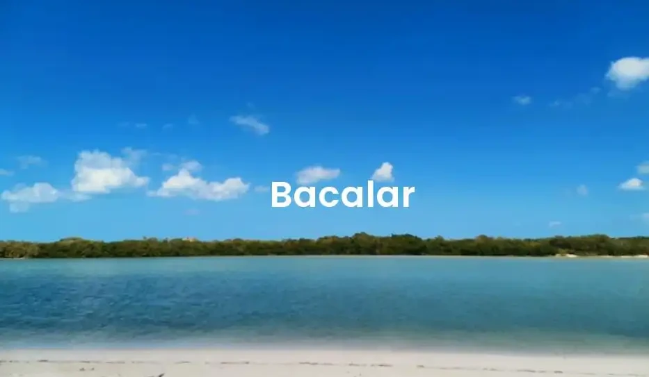 The best Airbnb in Bacalar