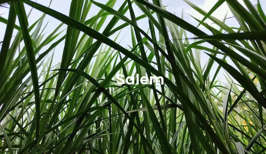 The best Airbnb in Salem