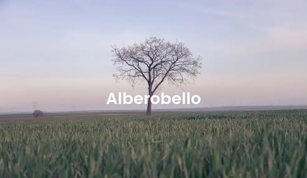 The best Airbnb in Alberobello