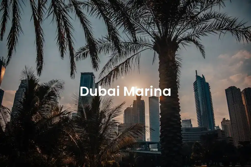The best Airbnb in Dubai Marina