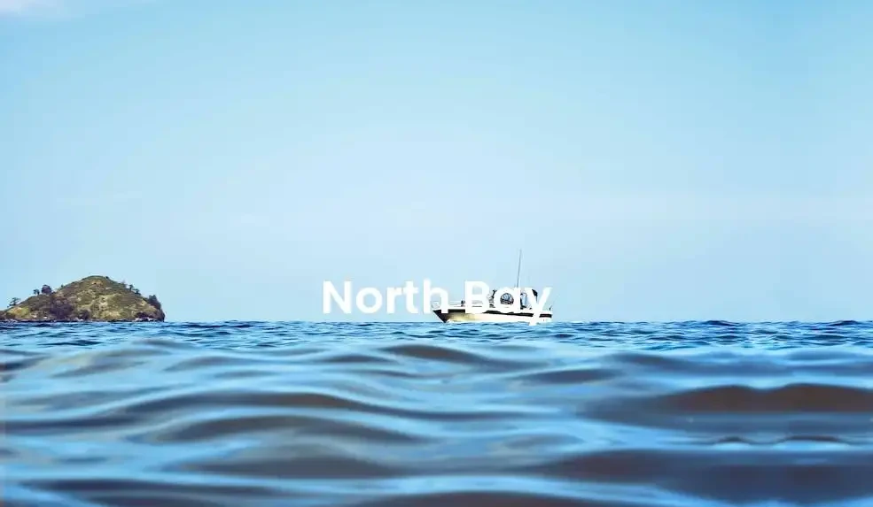 The best Airbnb in North Bay