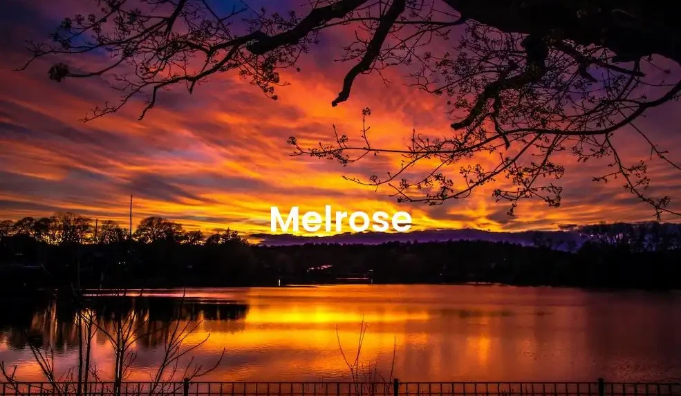 The best Airbnb in Melrose