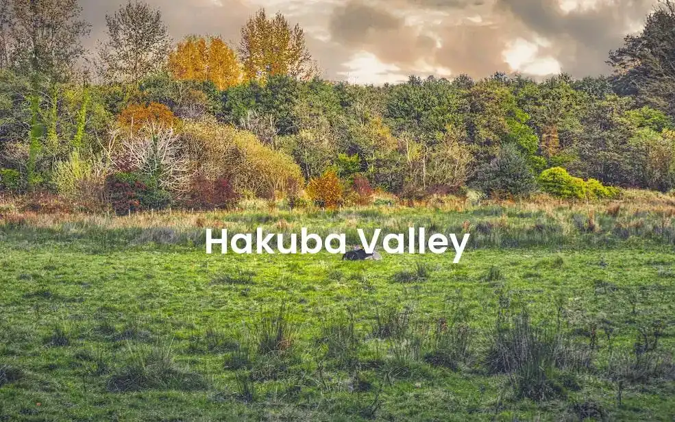 The best hotels in Hakuba Valley