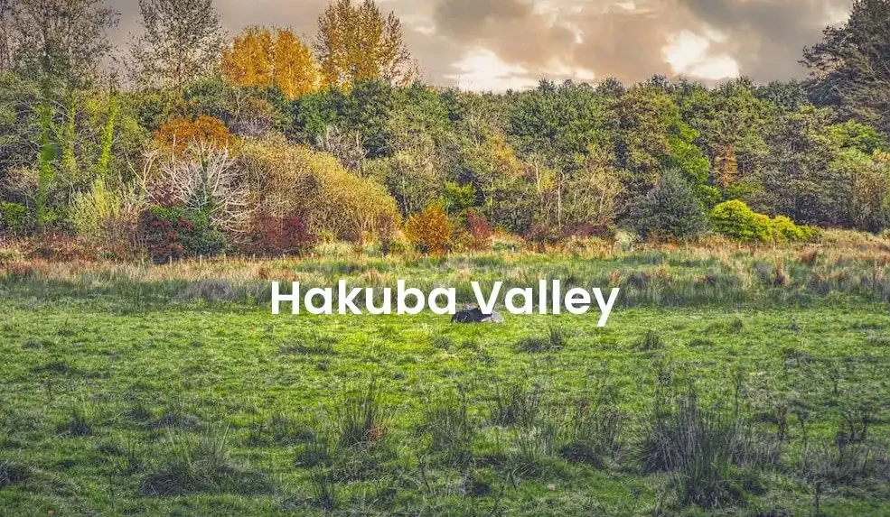 The best VRBO in Hakuba Valley