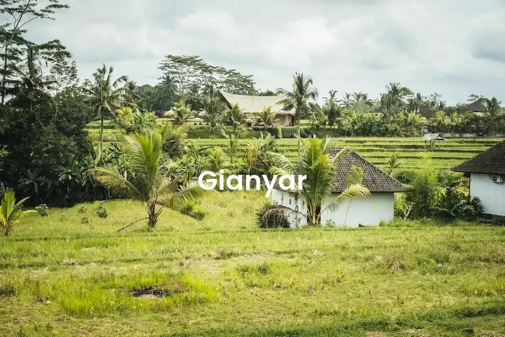 The best hotels in Gianyar