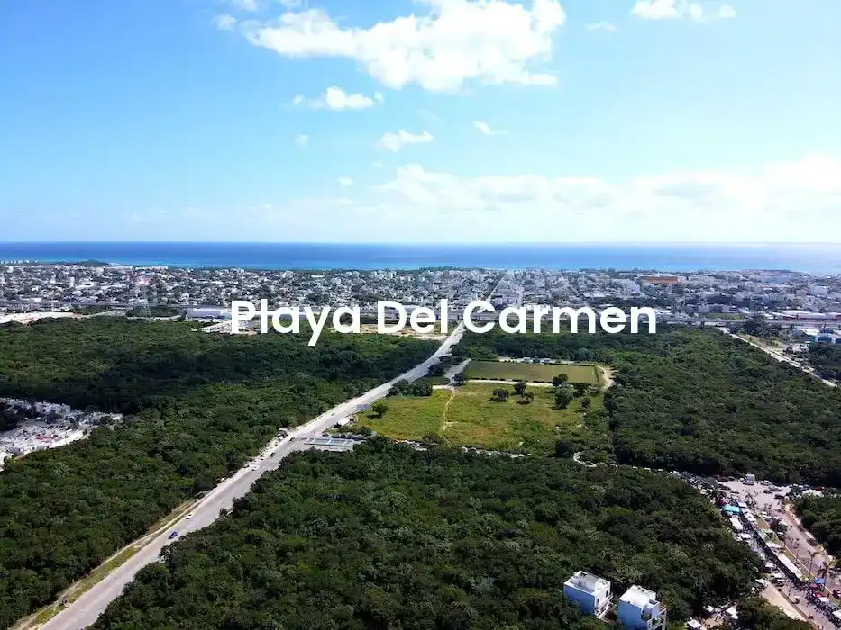 The best hotels in Playa Del Carmen