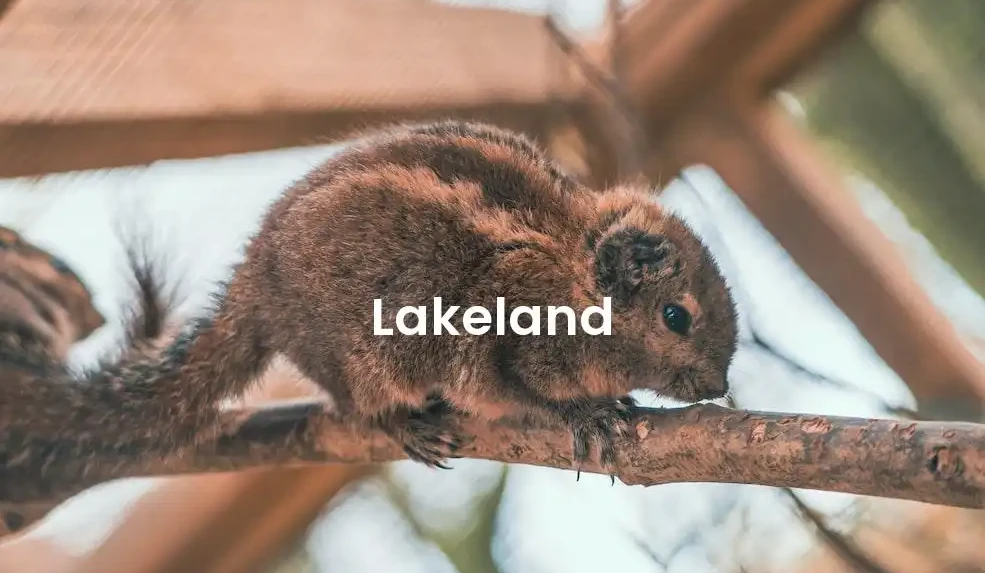 The best Airbnb in Lakeland