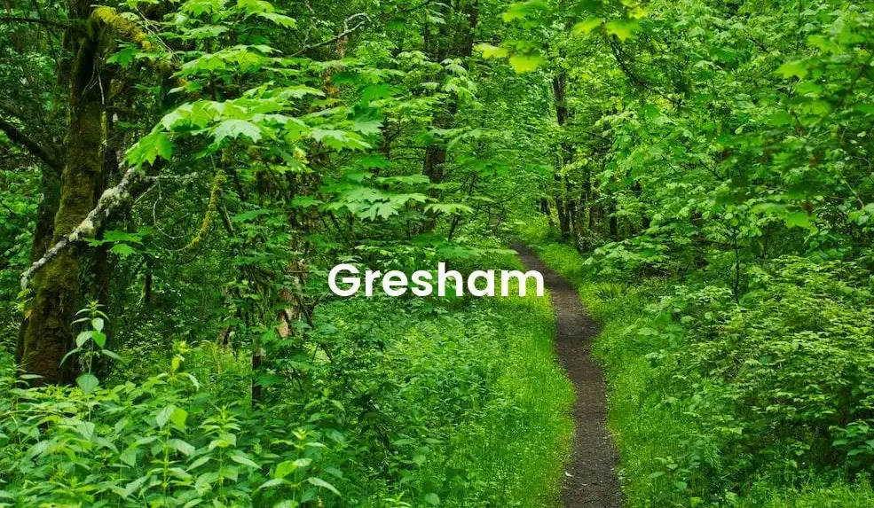 The best Airbnb in Gresham