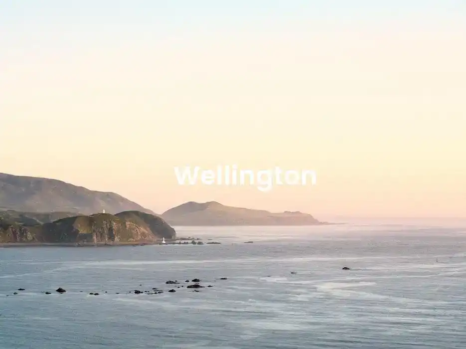 The best Airbnb in Wellington