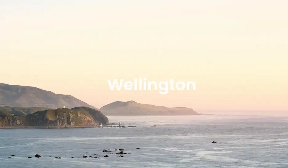 The best hotels in Wellington