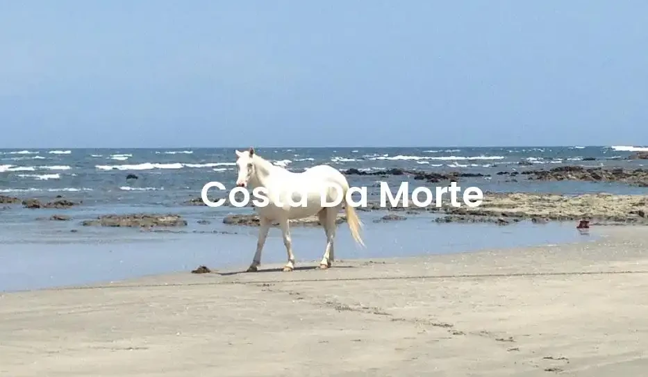 The best Airbnb in Costa Da Morte