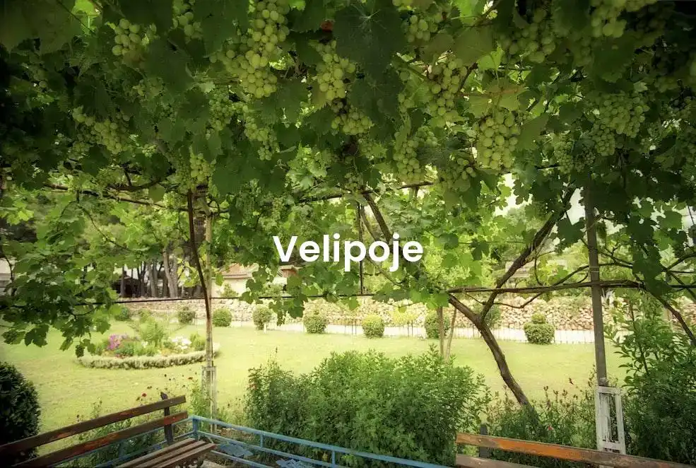 The best Airbnb in Velipoje