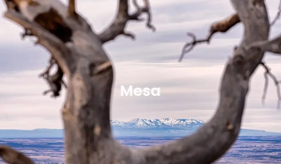 The best Airbnb in Mesa