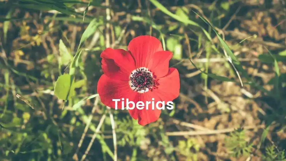 The best Airbnb in Tiberias