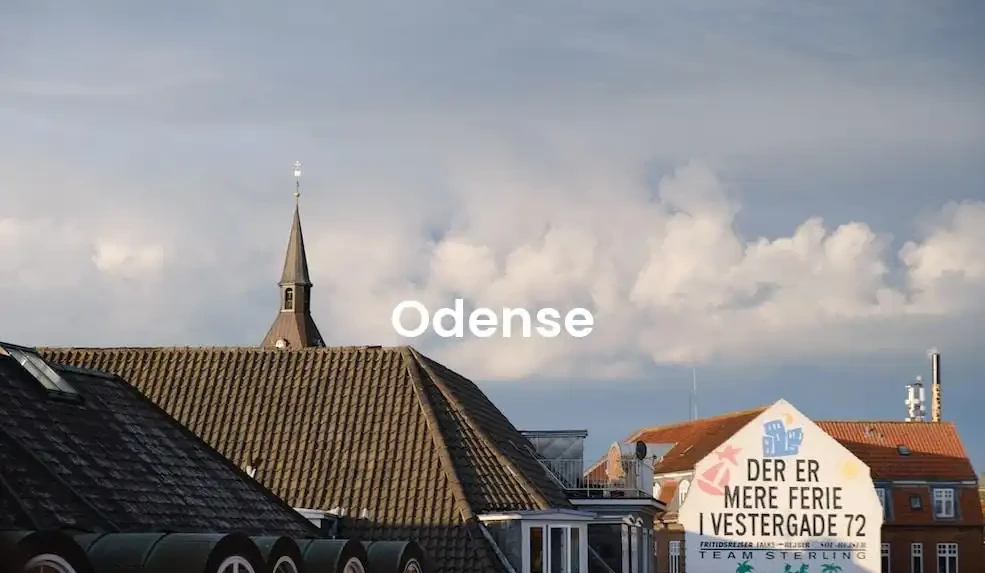 The best Airbnb in Odense