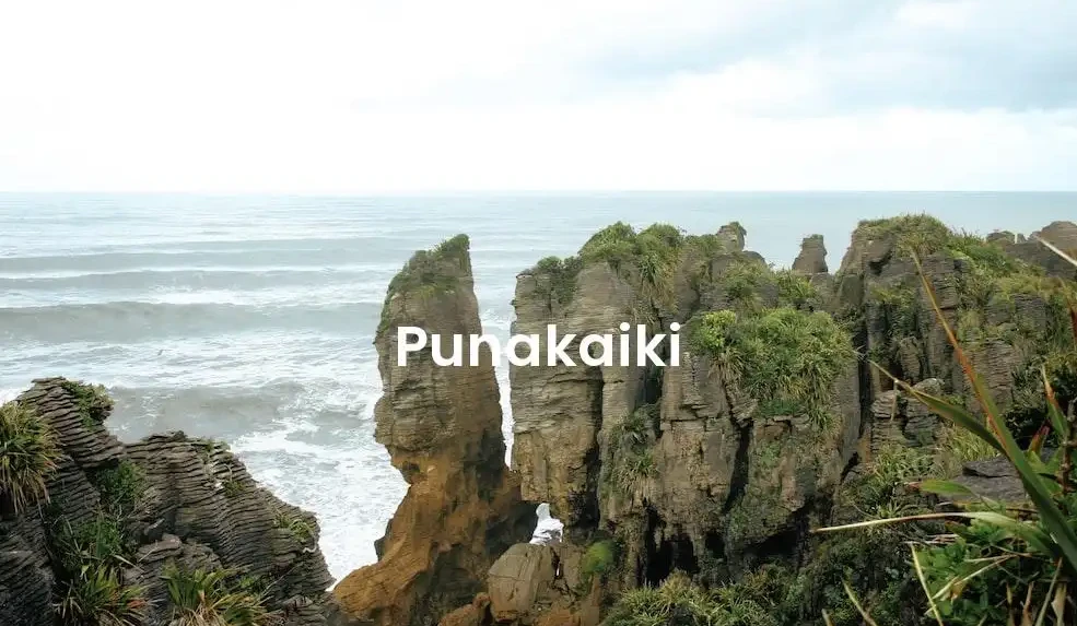 The best Airbnb in Punakaiki