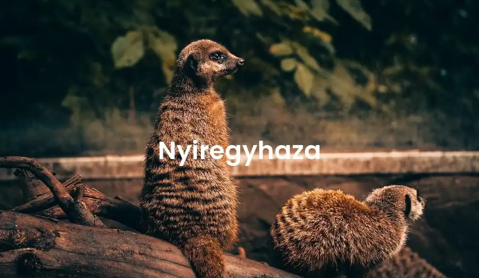 The best Airbnb in Nyiregyhaza