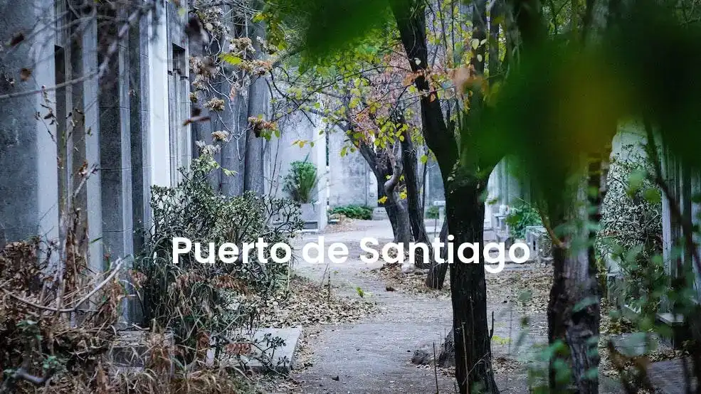 The best Airbnb in Puerto De Santiago