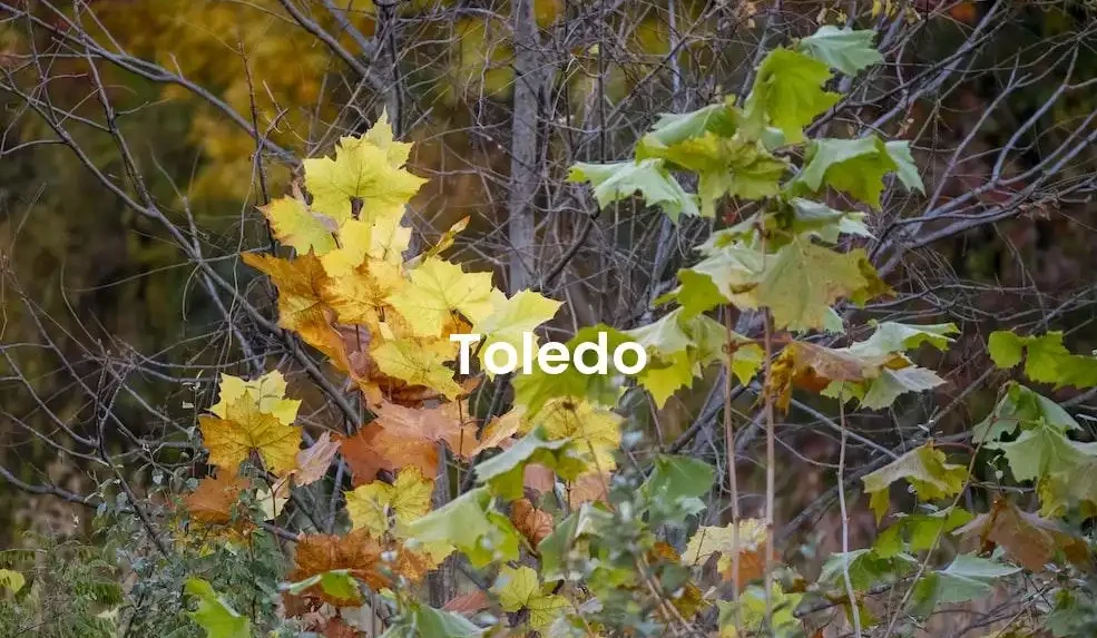 The best Airbnb in Toledo