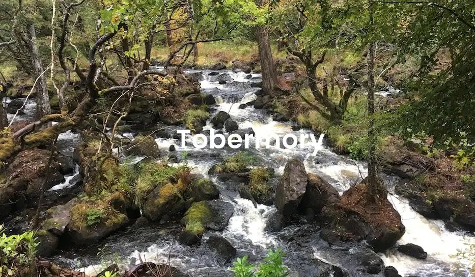 The best Airbnb in Tobermory