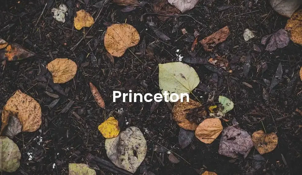 The best Airbnb in Princeton