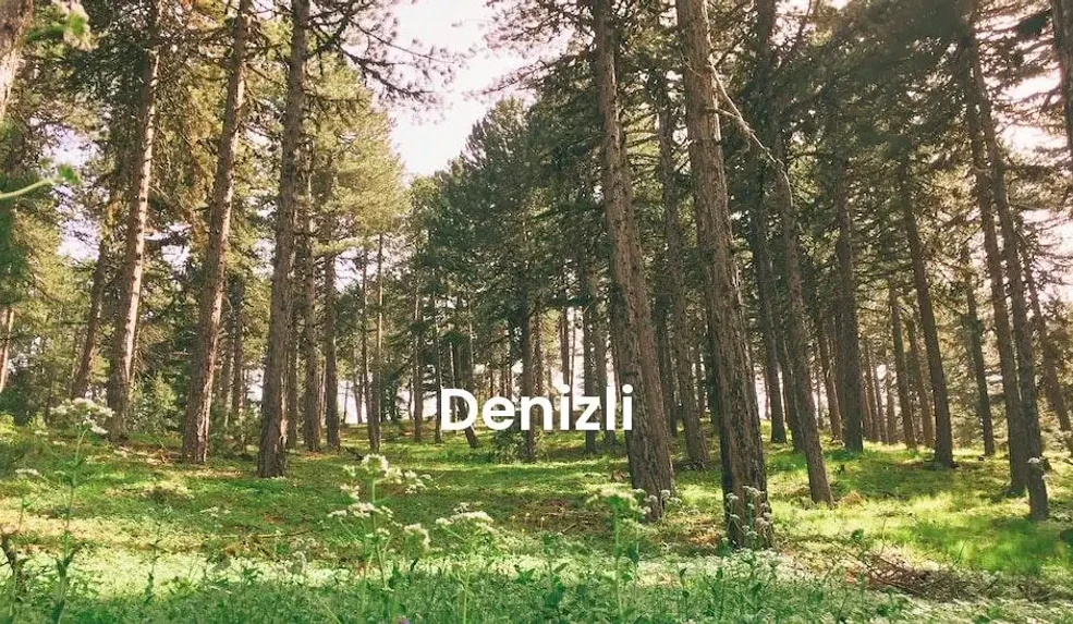 The best Airbnb in Denizli