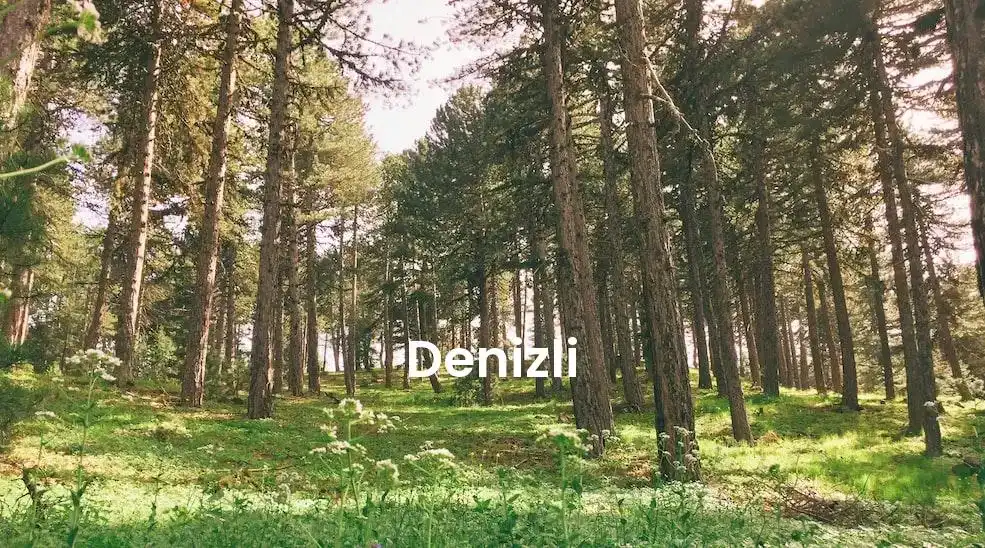 The best Airbnb in Denizli