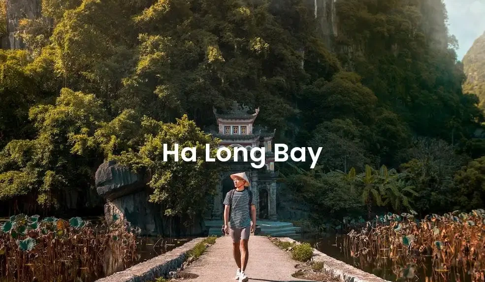 The best Airbnb in Ha Long Bay