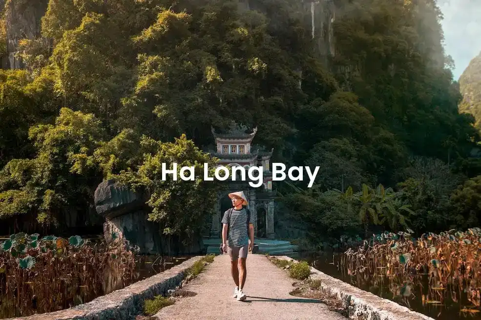 The best hotels in Ha Long Bay